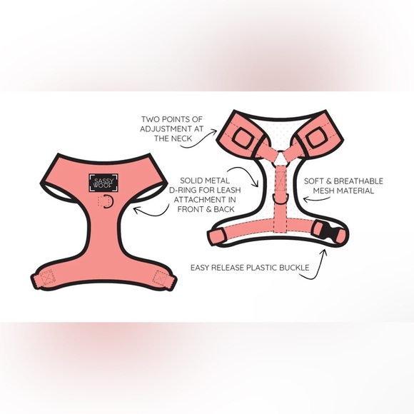 NEW Sassy Woof DOG ADJUSTABLE HARNESS - DAISY ME ROLLING LARGE - Picture 2 of 5